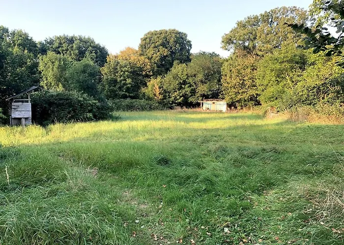 Nachhaltige Im Seenland Appartement